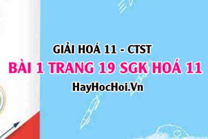 Giải bài 1 trang 19 Hoá 11 SGK Chân trời sáng tạo